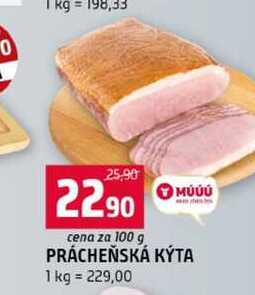PRÁCHEŇSKÁ KÝTA 100g
