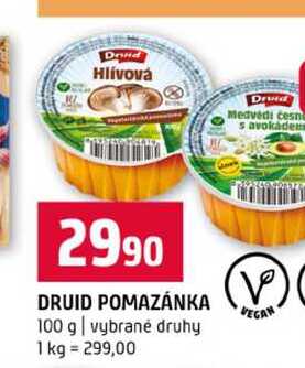 DRUID POMAZÁNKA 100 g vybrané druhy