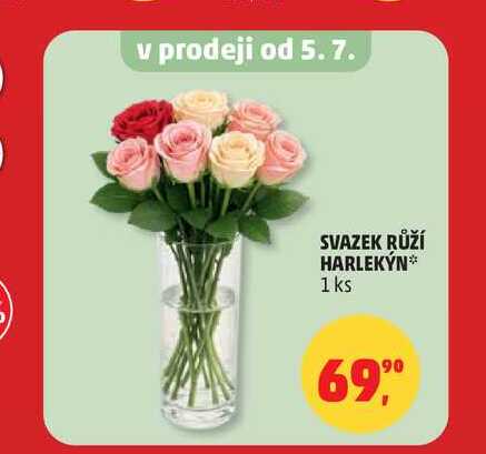 SVAZEK RŮŽÍ HARLEKÝN