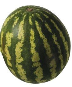 BIO Meloun vodní mini, 1 KS