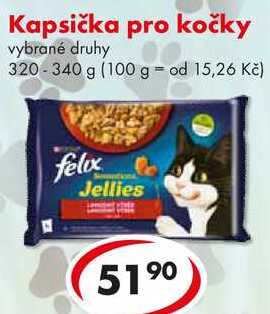 Kapsička pro kočky, 320-340 g