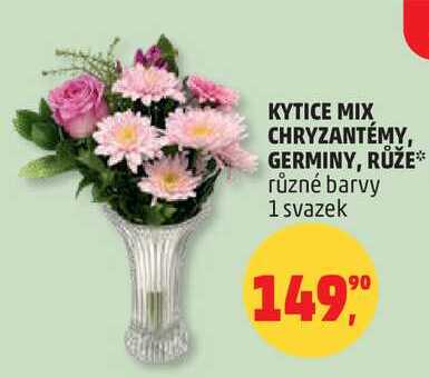 KYTICE MIX CHRYZANTÉMY, GERMINY, RŮŽE různé barvy 1 svazek
