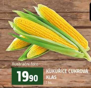 KUKUŘICE CUKROVÁ KLAS 1ks 