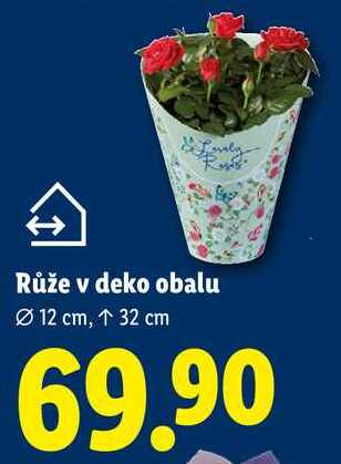 Růže v deko obalu