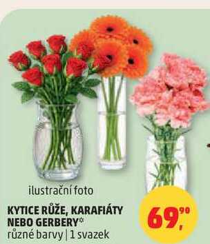 KYTICE RŮŽE, různé barvy, 1 svazek