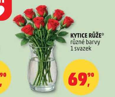 KYTICE RŮŽE různé barvy, 1 svazek