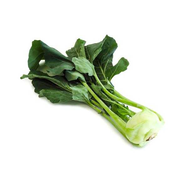 Kedlubna bílá, 1 ks