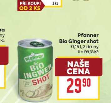 Bio Ginger shot 0,15l