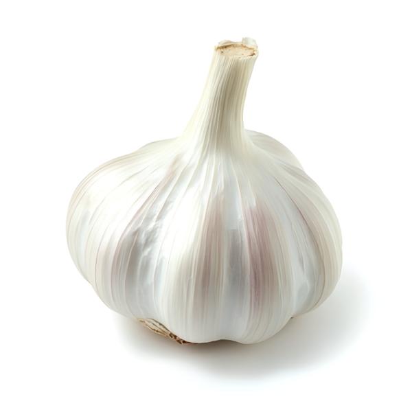 BIO Česnek, 1 ks