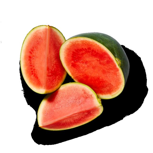 Meloun vodní s nízkým obsahem semen
