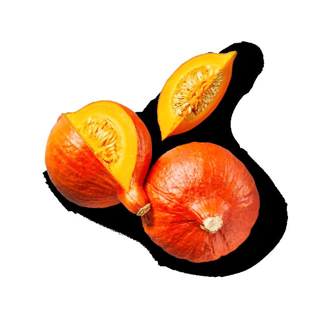 Dýně Hokkaido