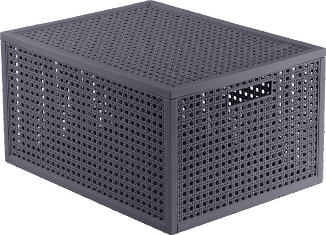 CURVER Úložný box 20 l