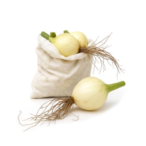 Farma Hana Součková Cibule kuchyňská, balení 1kg