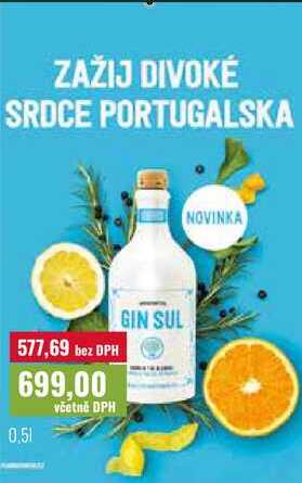 GIN SUL 0,5l