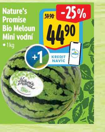 Nature's Promise Bio Meloun Mini vodní 1kg
