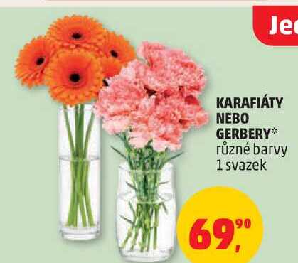 KARAFIÁTY NEBO GERBERY různé barvy, 1 svazek