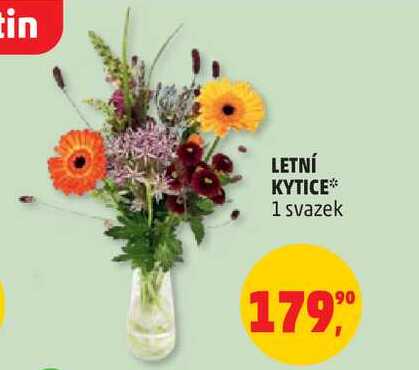 LETNÍ KYTICE, 1 svazek