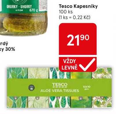 Tesco Kapesníky, 100 ks