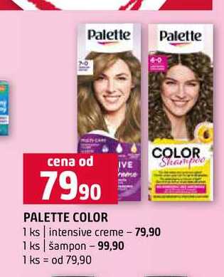 PALETTE COLOR 1 ks intensive creme 1 ks šampon