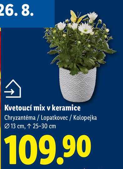 Kvetoucí mix v keramice