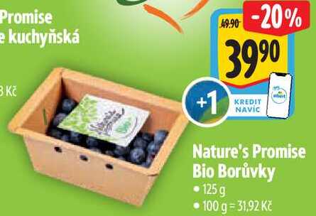 Nature's Promise Bio Borůvky, 125 g