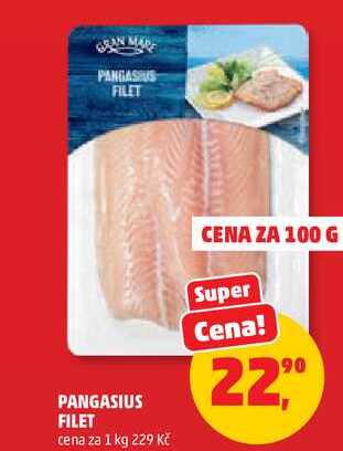 PANGASIUS FILET, 100 g