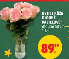 KYTICE RŮŽE DLOUHÉ PASTELOVÉ dlouhé 50 cm, 1 ks