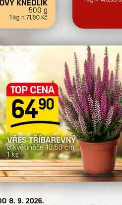VŘES TŘÍBAREVNÝ květináče 10,50 cm 1ks