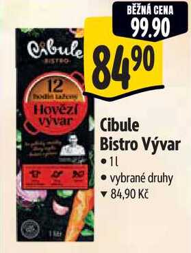 Cibule Bistro Vývar, 1 l