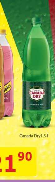 Canada Dry 1,5l