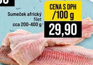 Sumeček africký filet cca 200-400 g 100g