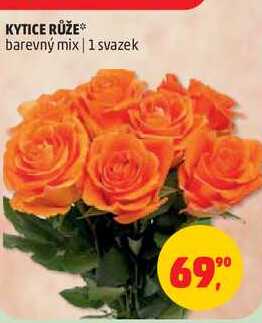 KYTICE RŮŽE barevný mix, 1 svazek