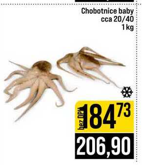 Chobotnice baby cca 20/40 1kg