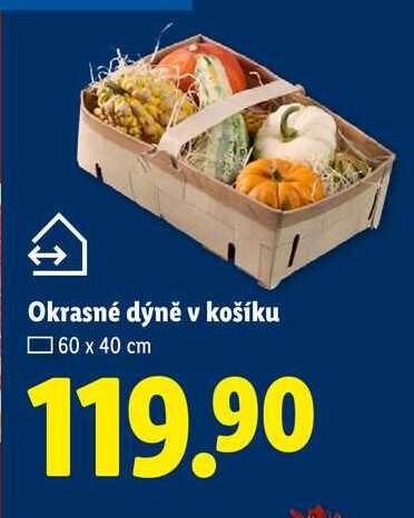 Okrasné dýně v košíku