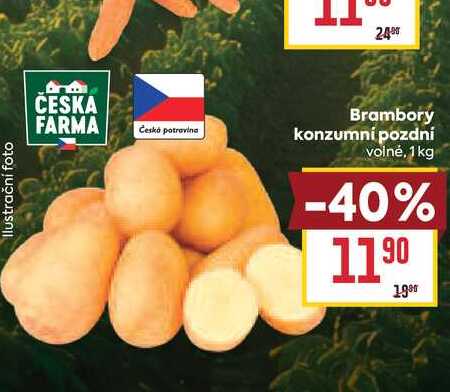 Brambory konzumní pozdní volné, 1 kg