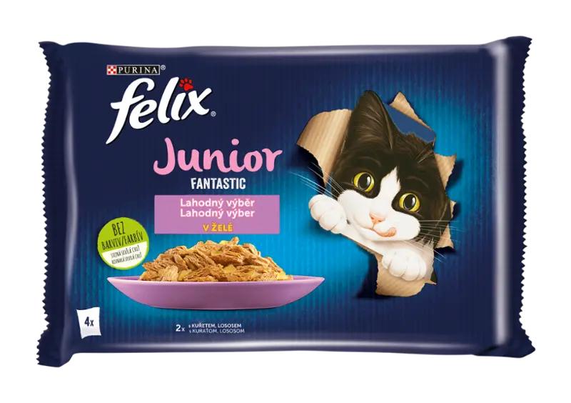 Felix Kapsička pro kočky Fantastic Junior s kuřetem a lososem v želé multipack 4x 85 g, 340 g