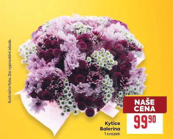 Kytice Balerina 1 svazek