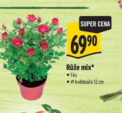  Růže mix, pr. květináče 12 cm 