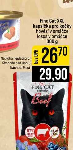 Fine Cat XXL kapsička pro kočky hovězí v omáčce losos v omáčce 300 g 