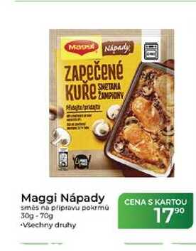 Maggi Nápady směs na přípravu pokrmů 30g-70g