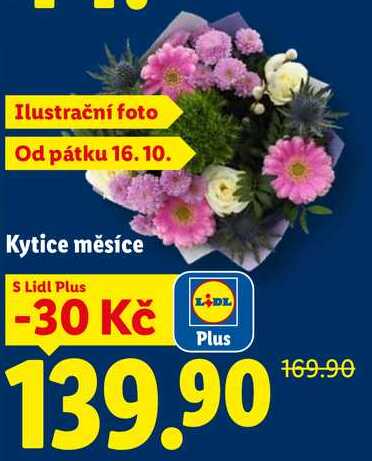 Kytice měsíce 