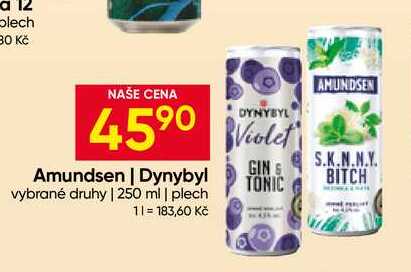 Dynybyl vybrané druhy 250 ml plech