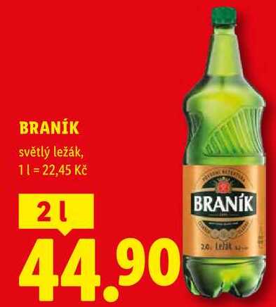 BRANÍK, světlý ležák, 21 