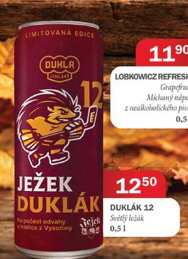 DUKLÁK 12 Ježek Světlý ležák 0,51 