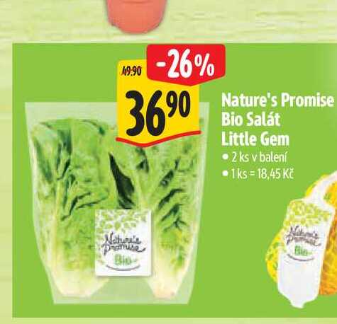 Nature's Promise Bio Salát Little Gem 2 ks