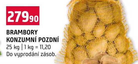 BRAMBORY KONZUMNÍ POZDNÍ 25 kg