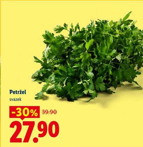 Petržel svazek