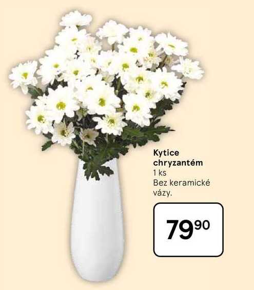 Kytice chryzantém, 1 ks