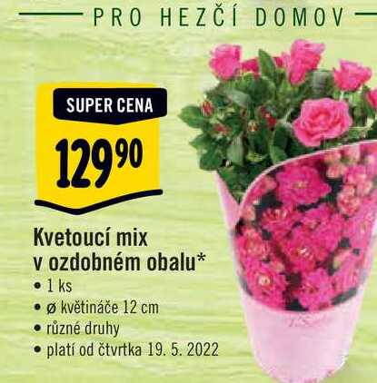   Kvetoucí mix v ozdobném obalu, pr.květináče 12 cm  