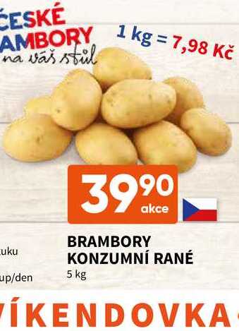 BRAMBORY KONZUMNÍ RANÉ 5 kg